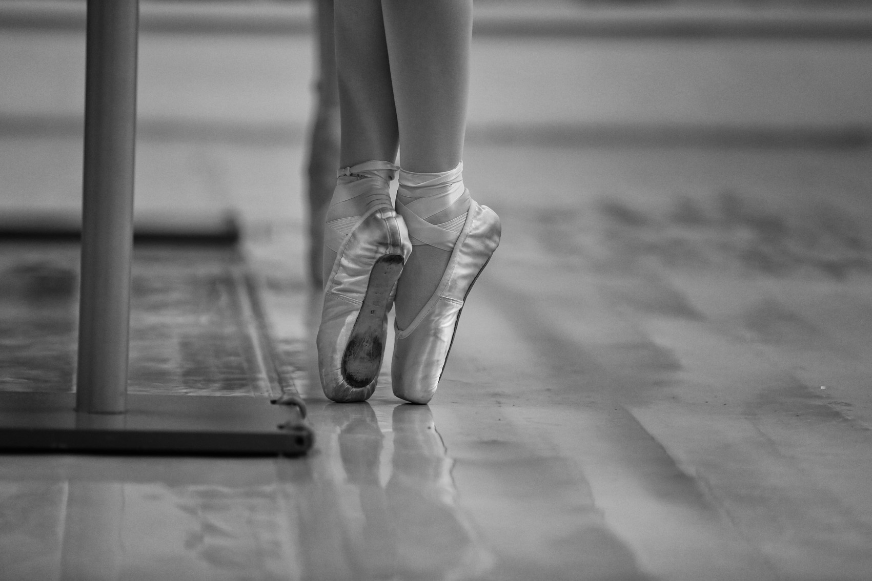 Delicadeza en movimiento II