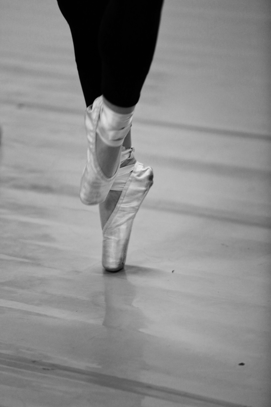 Delicadeza en movimiento II