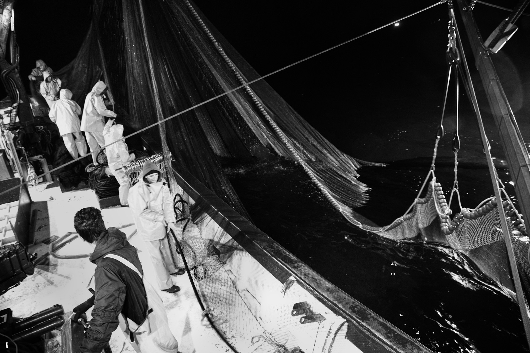 Pesca de cerco