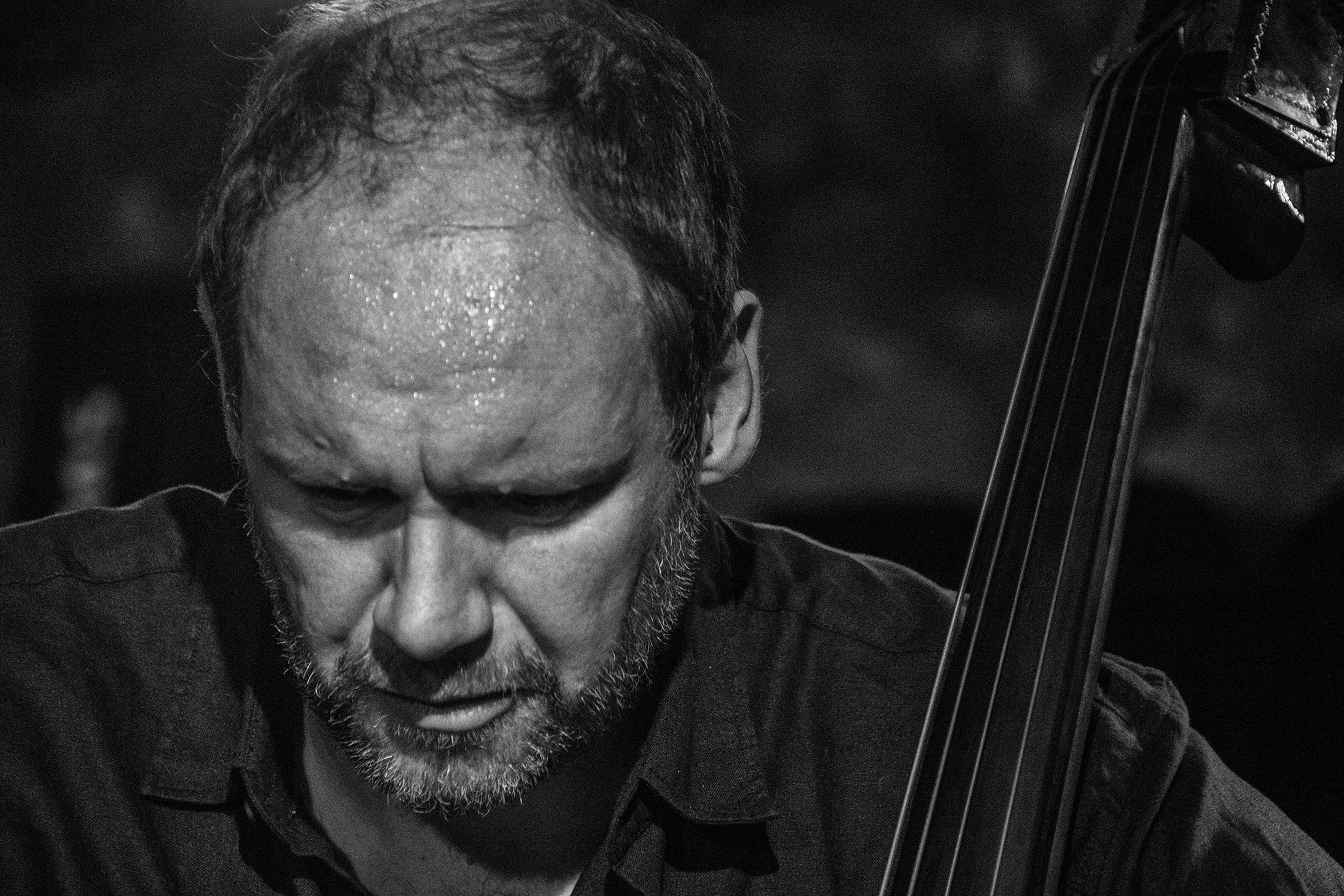 Mark Hodgson