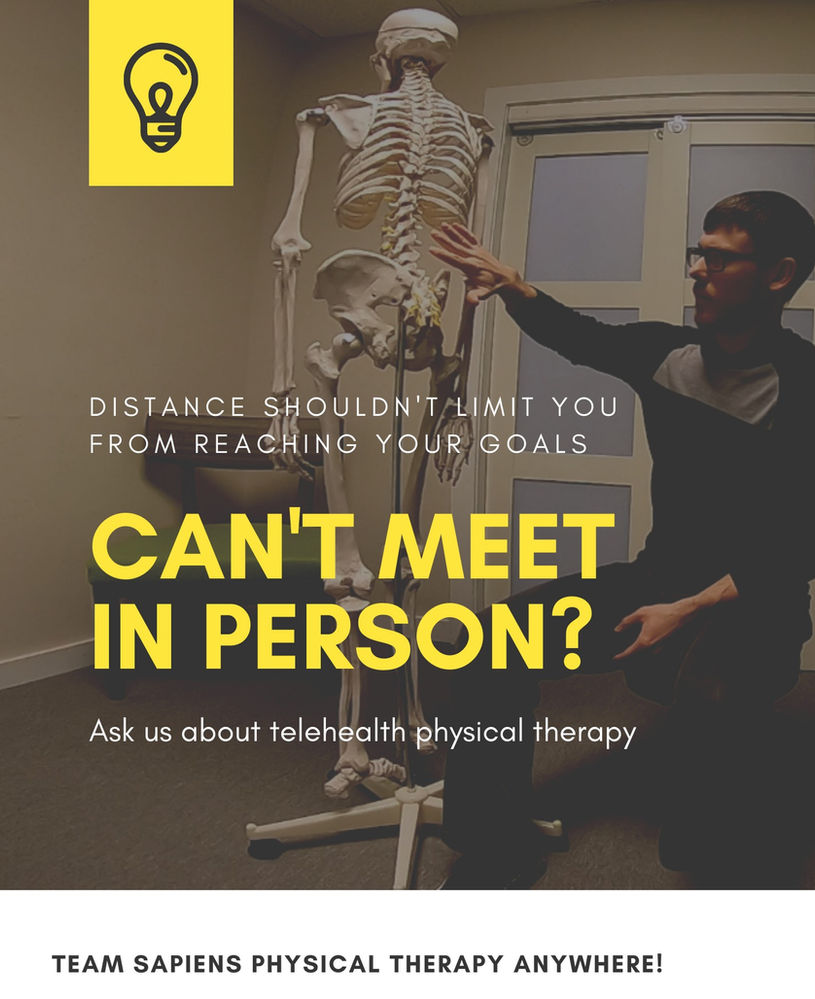 Telehealth Physical Therapy