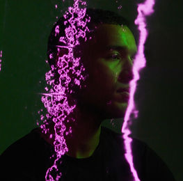 FAUSTIN LEROY VERBEET 1.jpg