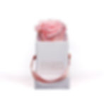 Box blanche avec rose éternelle pour une déco minimaliste