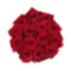 Roses éternelles pour mariage ou anniversaire