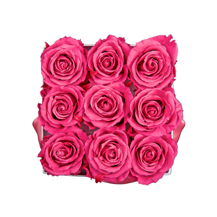 9 roses stabilisées pour décoration intérieure