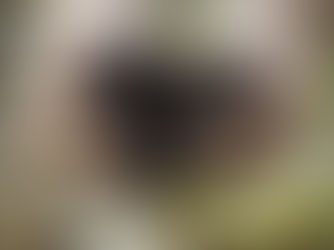 Hướng dẫn cụ thể quy trình ủ phân hữu cơ tại nhà