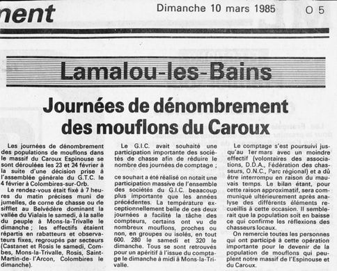 Journée de dénombrement.jpg