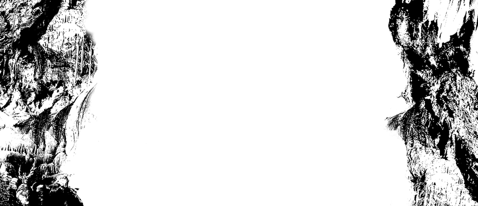 fond blanc