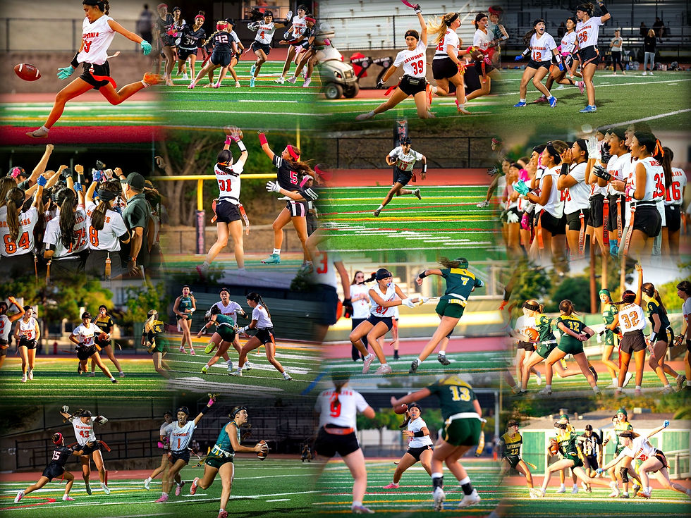 rockwork_team_collage_1.jpg