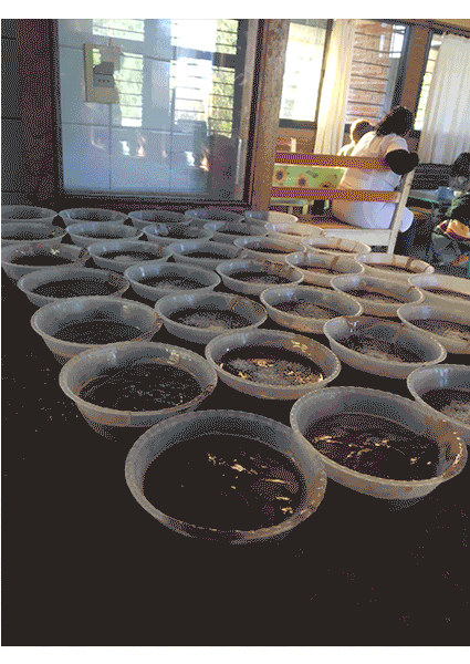 Stopmotion en la merenda!