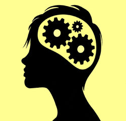 Progettazione e organizzazione