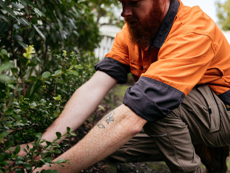 Example: How a 12-month Lawn and Garden package works