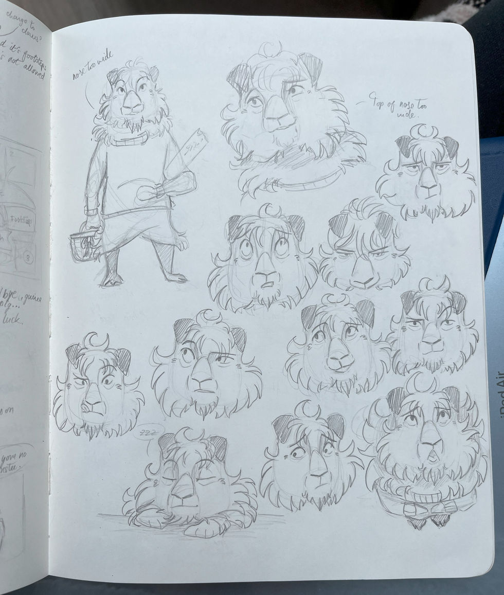 Winnie Expressions