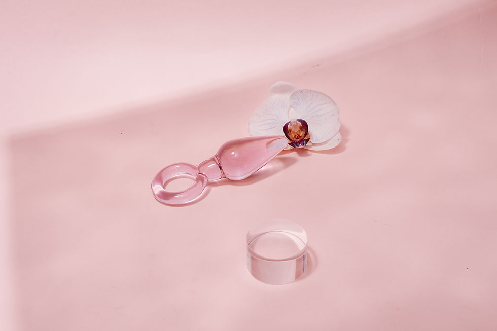 Hình thu nhỏ: Ring Plug