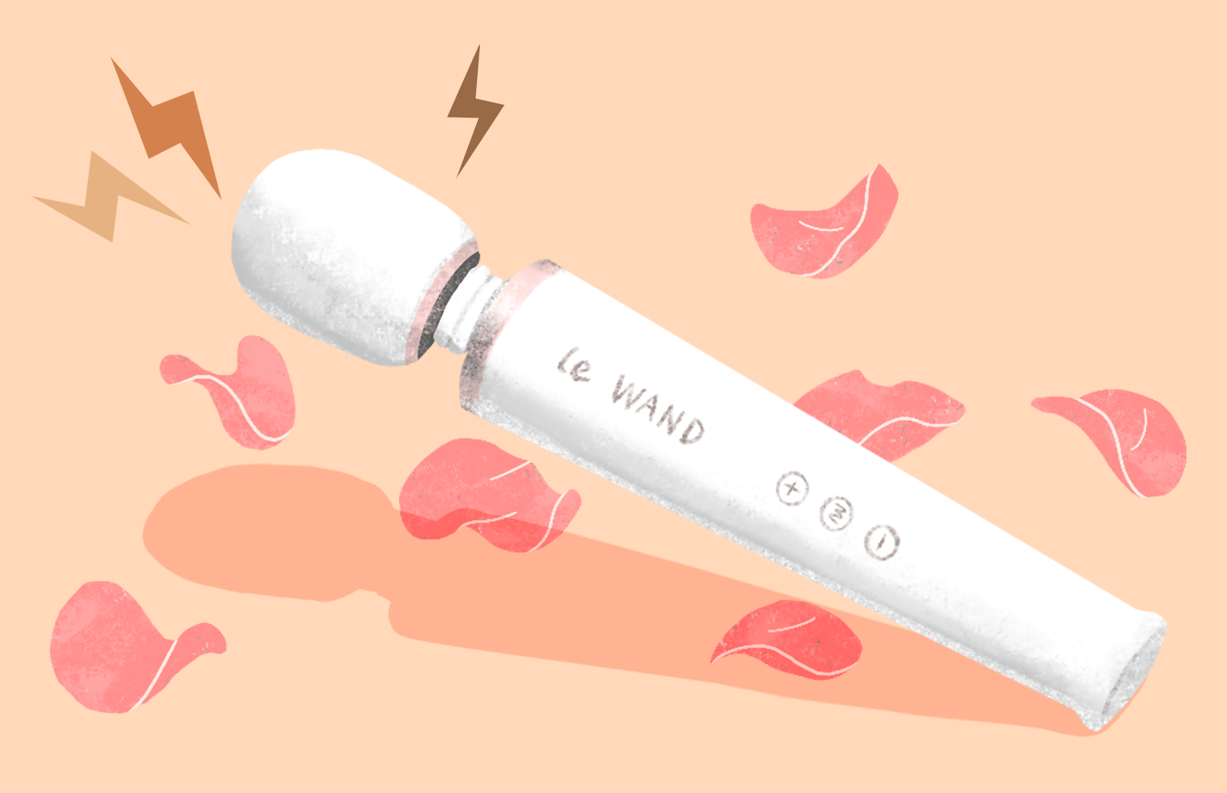 le-wand-vibrators-guide.gif