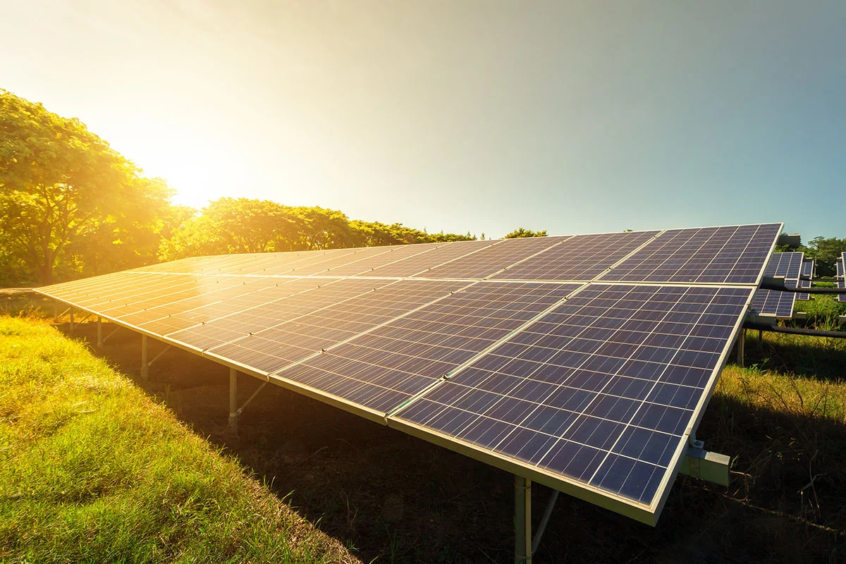 Solar PV - Digren Energy.webp