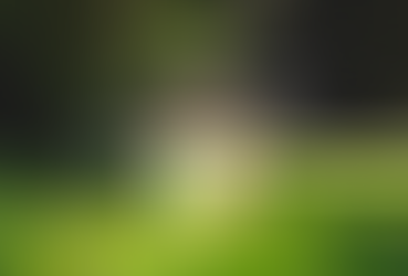 Casa de madeira sobre grama verde com etiqueta de eficiência energética colorida (A a G), cercada por ícones de sustentabilidade como energia eólica, água, reciclagem e eletricidade, representando consumo eficiente e energia limpa