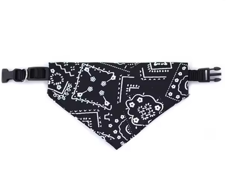 Thumbnail: Sunday Best, Sorted: The Proper Paisley Dog & Cat Bandana