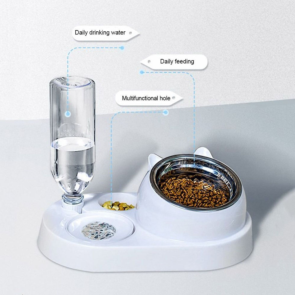 Thumbnail: Hydration, Sorted: The Proper 2-in-1 Automatic Pet Feeding Station