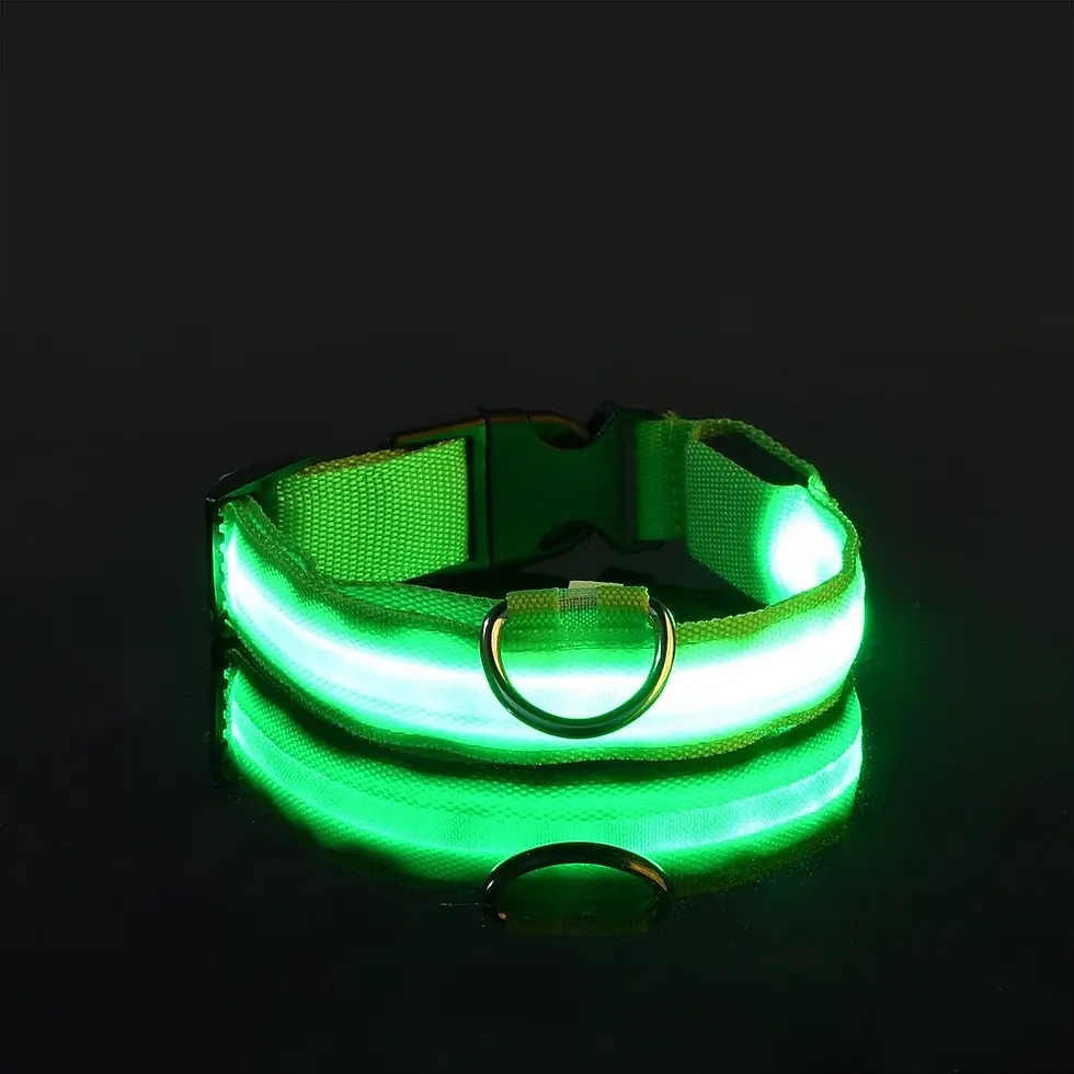 Thumbnail: The Night Beacon: LED Dog Collar Glow in the Dark Safety Flashing Pet Collar
