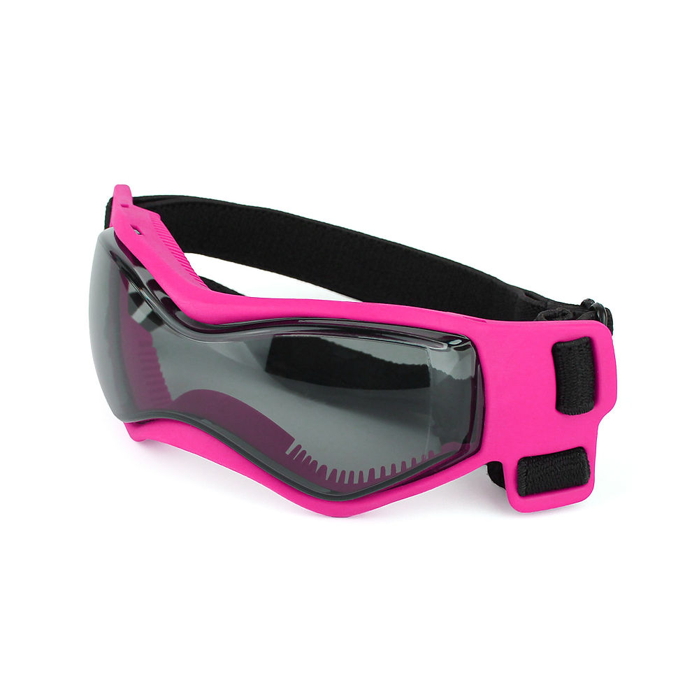 Thumbnail: The Road Hound: UV Protection Dog Sunglasses and Pet Goggles for Car Rides