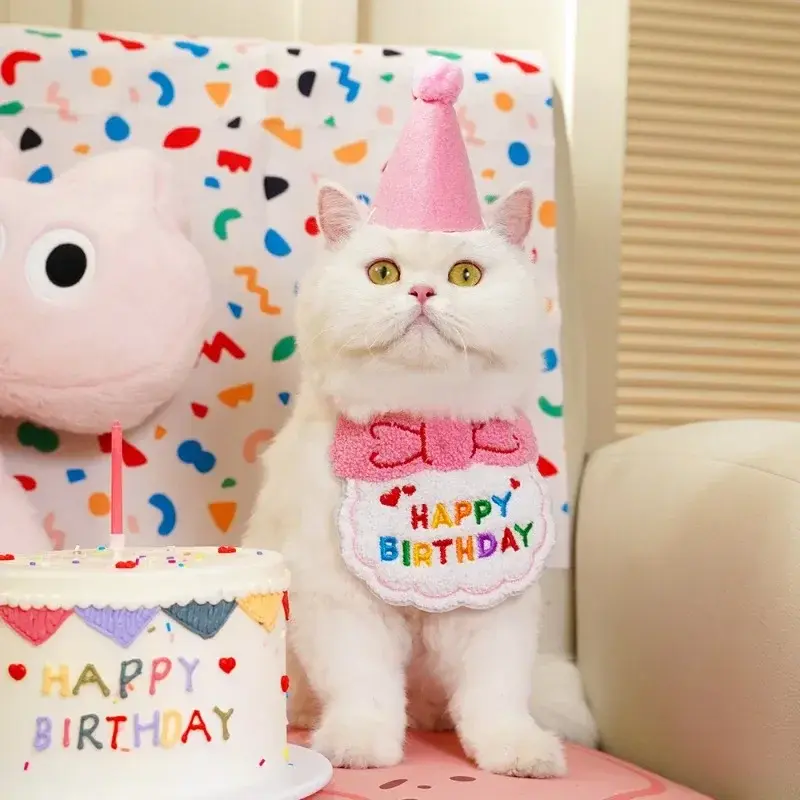 Thumbnail: Birthdays, Sorted: The Proper Dog & Cat Party Hat & Bandana Set