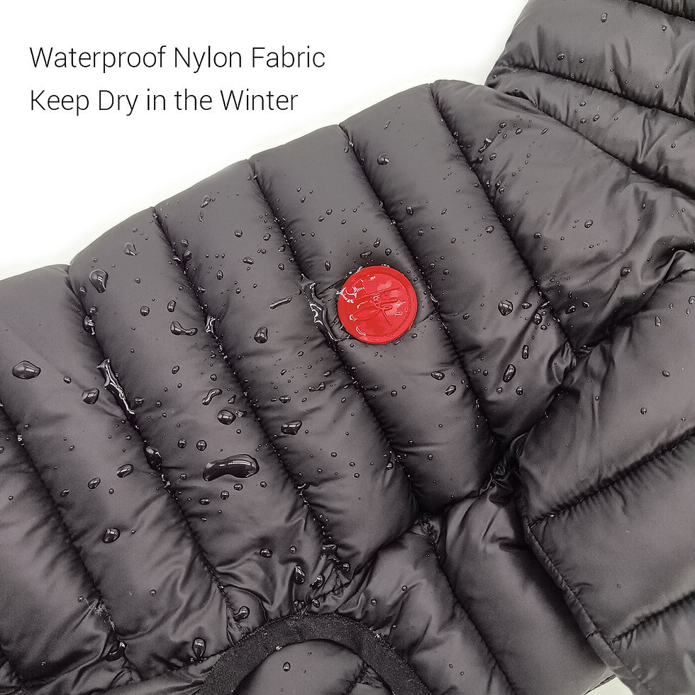 Thumbnail: Winter Walks, Sorted: The Proper Insulated Dog Puffer Jacket