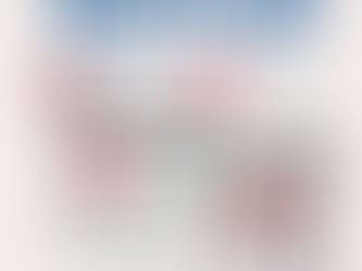 Discover the Smartest SMS Panel in India with TechTo Networks