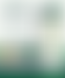 WhatsApp API poster for coaching institutes, with phone chat mockup, student study photo, features list, and Techto Networks branding