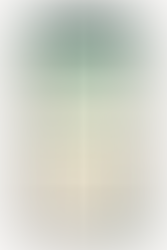 How to Send Bulk Messages on WhatsApp in 2025 – The Smart Way!