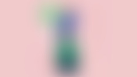 WhatsApp Business API Policy by Meta: A Comprehensive Overview