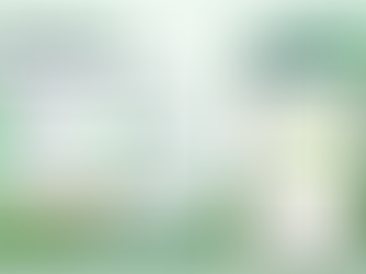 WhatsApp API for Parent Communication