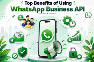 Top Benefits of Using WhatsApp Business API for Bulk Messaging
