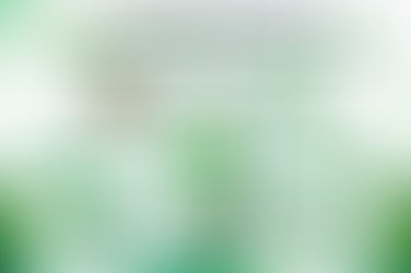 Top Benefits of Using WhatsApp Business API for Bulk Messaging