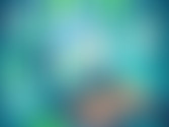How to Send Bulk Messages Using WhatsApp Business API Without Getting Blocked