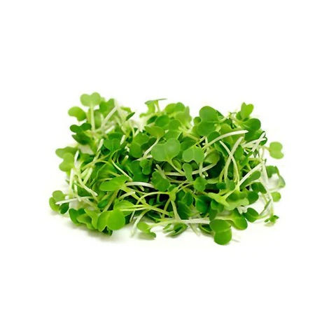 Broccoli microgreens from Nutri Green