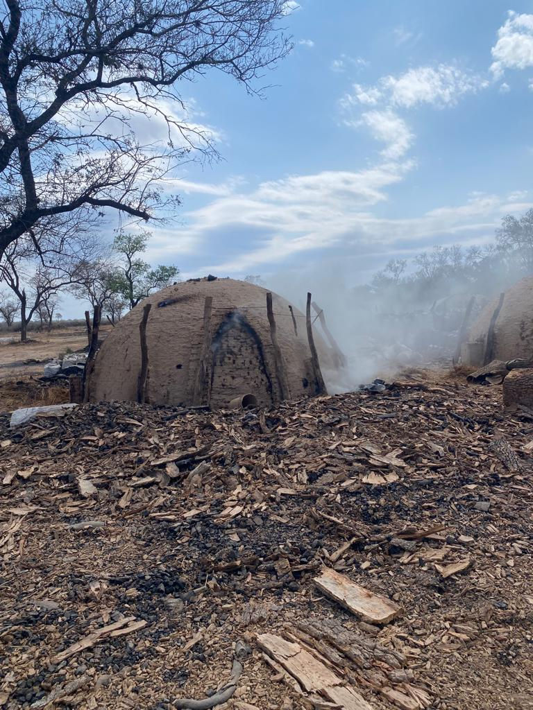 WhatsApp Image 2025-11-18 at 15.52.31 (1).jpeg