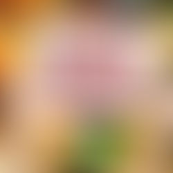 New Carer Pay Rates - Everlife (Swindon)