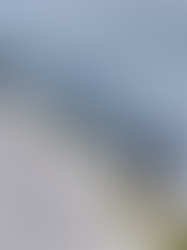 Inversión extranjera en México: el boom de la Logística nacional