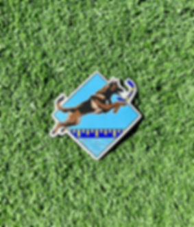 "Dock Diving" Sticker