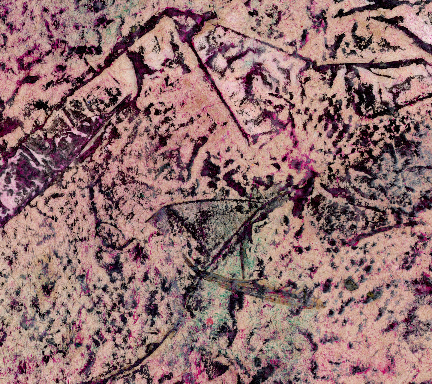 extravagance (close up crop)