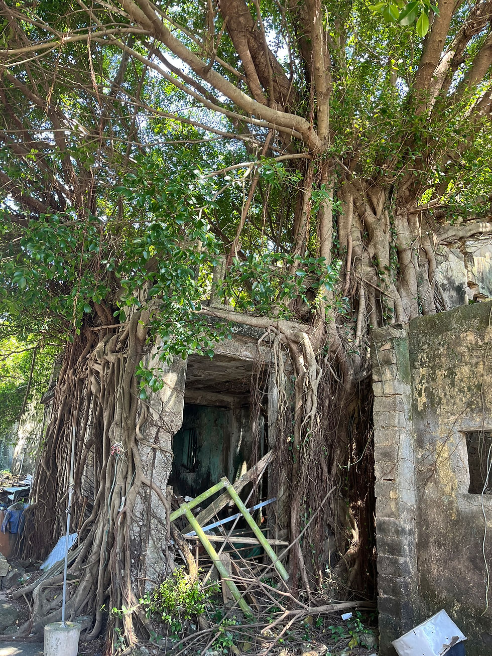 Lai Chi Wo Hakka Village Eco-Excursion by Boat