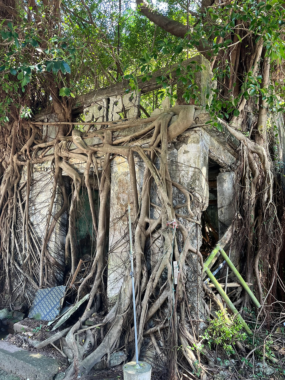 New Territories: Ghost Villages & Hakka Heritage Tour (15 km hike)