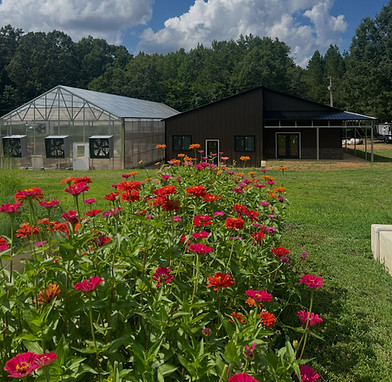 rockyriverroots_edited.jpg