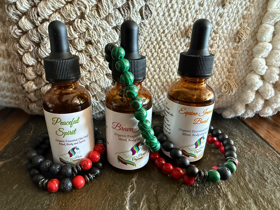 Thumbnail: Lava stone bracelet/Aromatherapy oil 