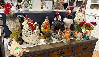 chickens 1.jpg