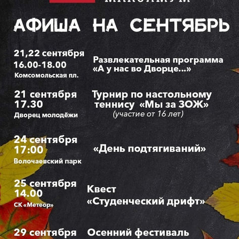 День подтягиваний