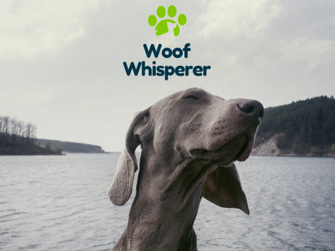 Rincon Hill Dog Park