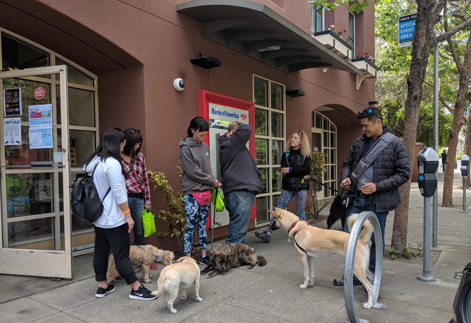 Rincon Hill Dog Park