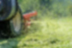 GRASS 1.jpg